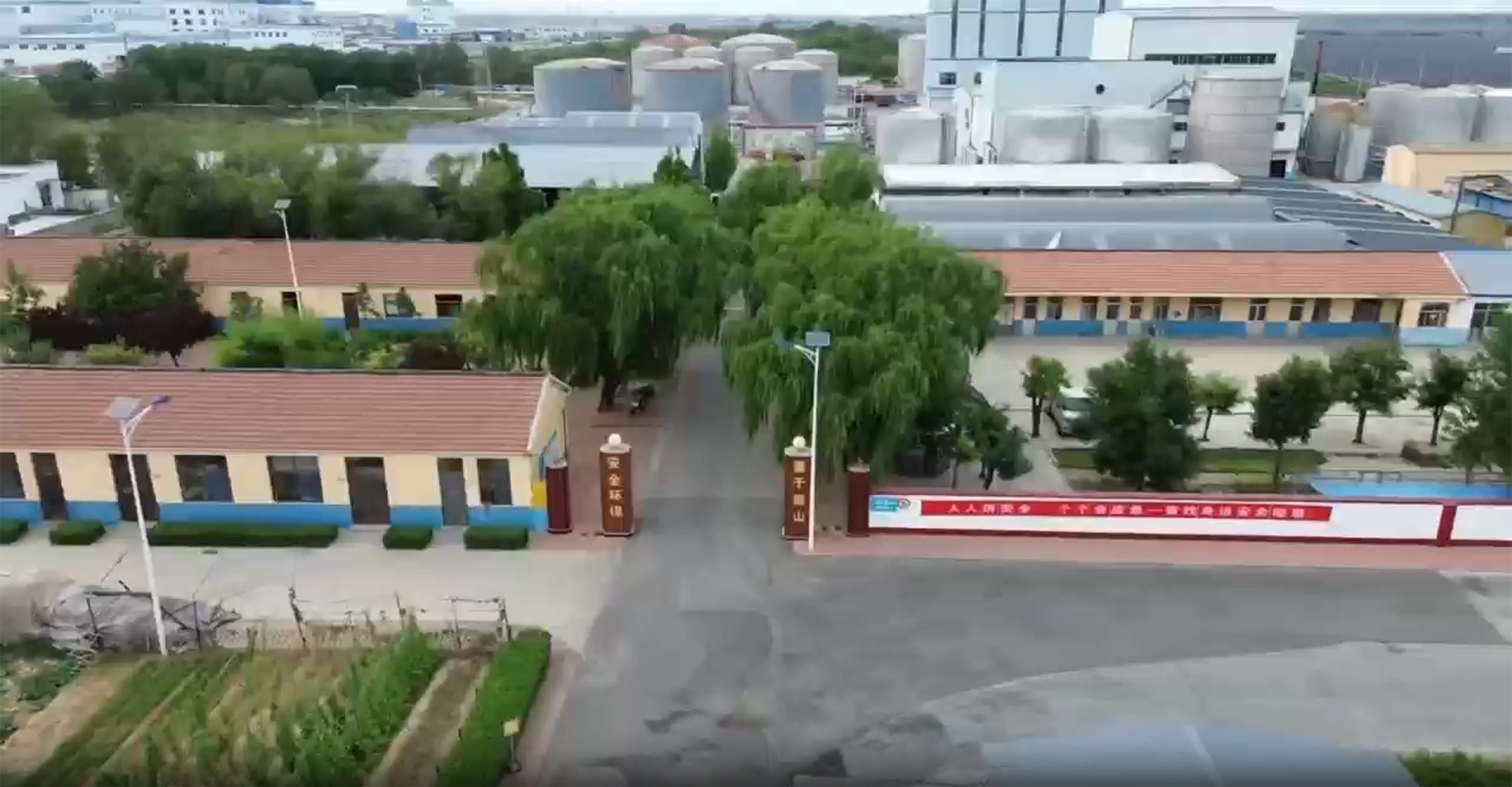Видеобаннер YILAN